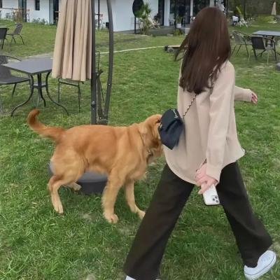裸女怀春