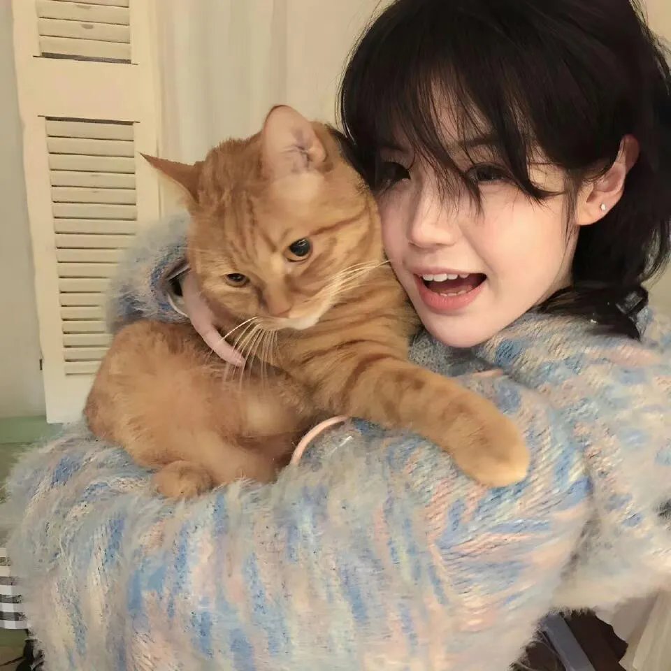 功夫熊猫之盖世五侠的秘密