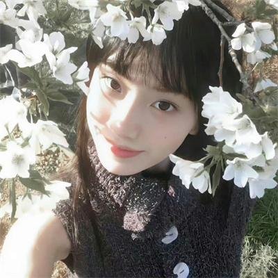 纸钞屋第四季